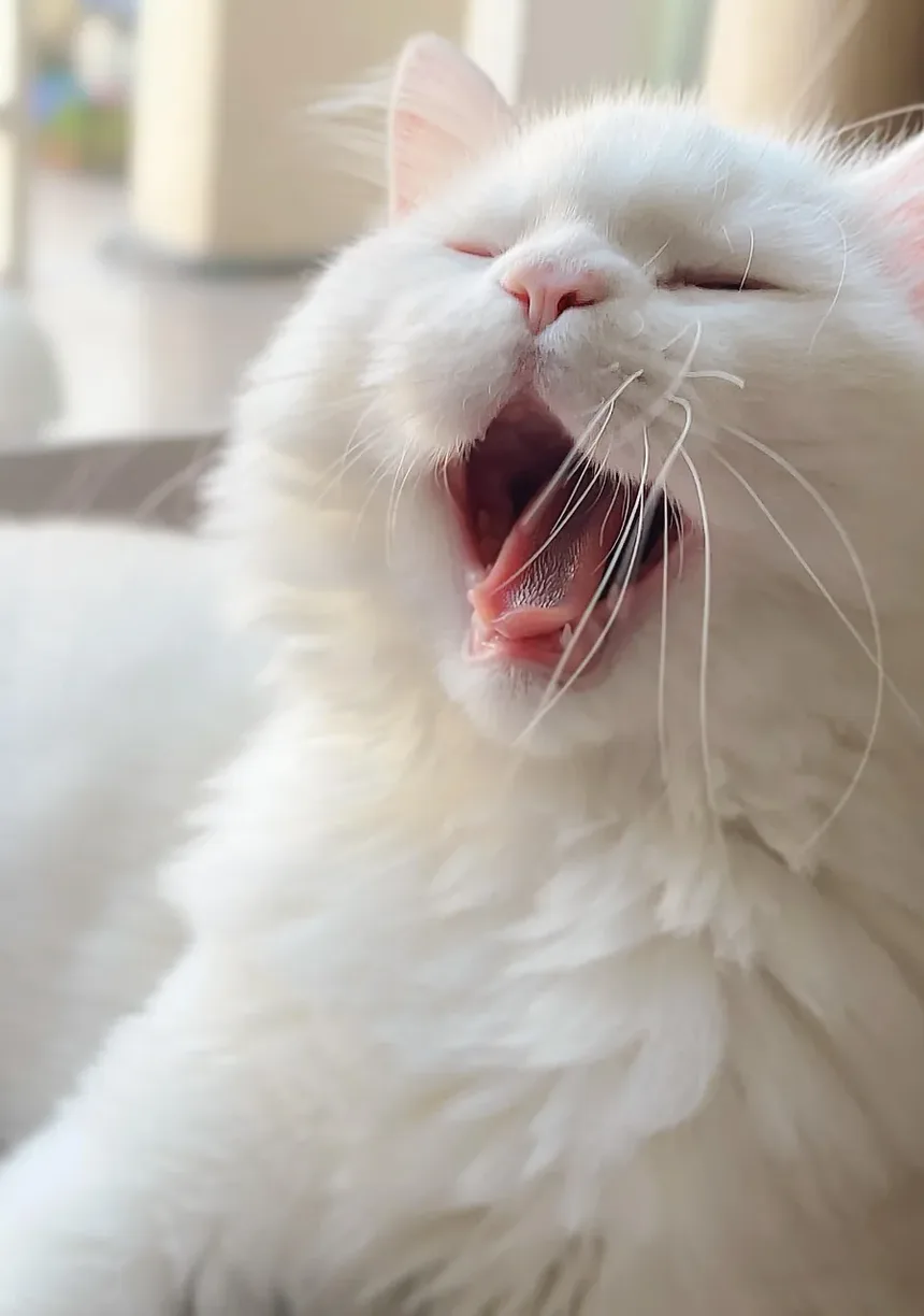 Lanches Mais Saudáveis para Gatos: Um Guia Completo